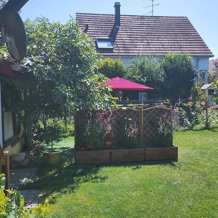 Gite Alsace Appenwihr 外观 照片