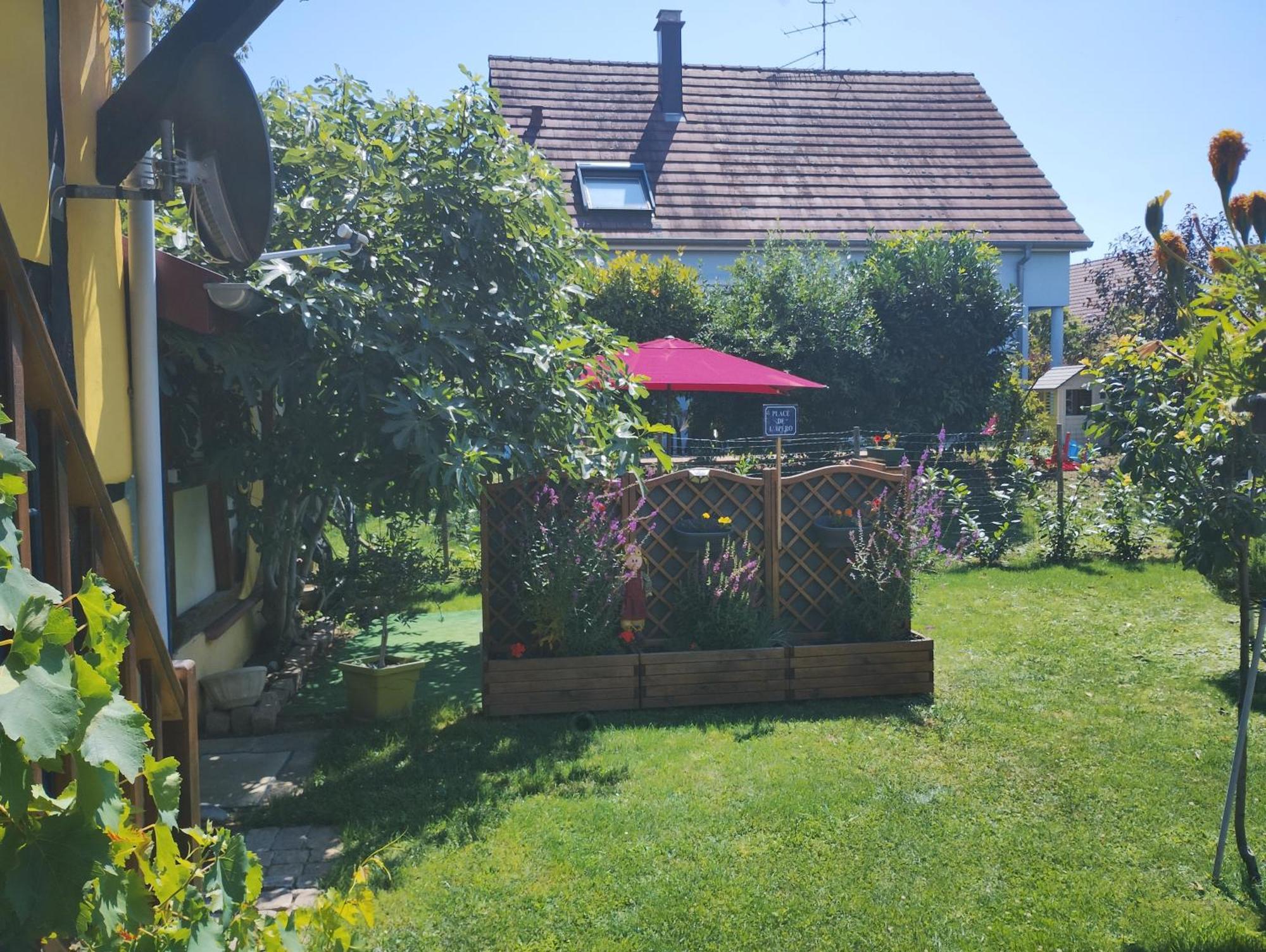 Gite Alsace Appenwihr 外观 照片